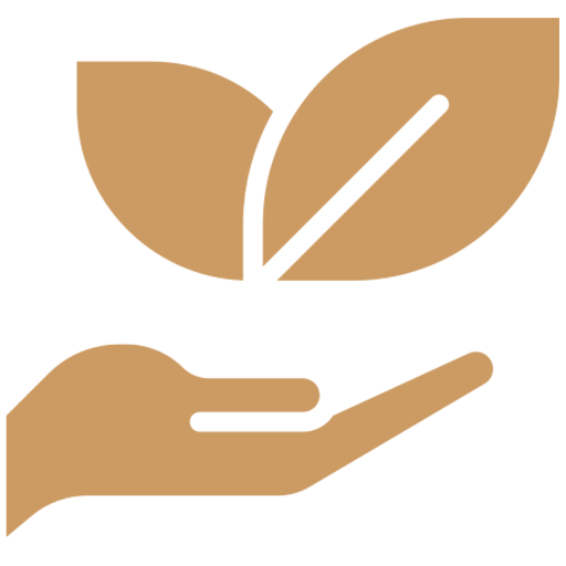 Hand holding green leaves, symbolizing environmental care and sustainability. Highlights the importance of preserving nature.