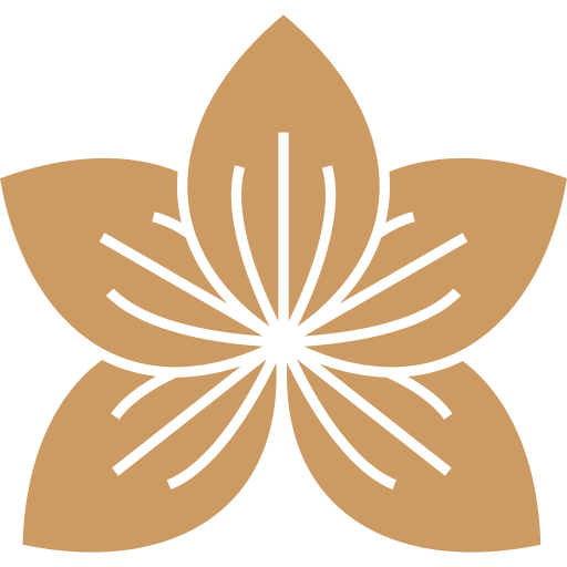 A stylized orange flower with five petals and intricate details, representing beauty and nature, suitable for wellness or aesthetic themes.